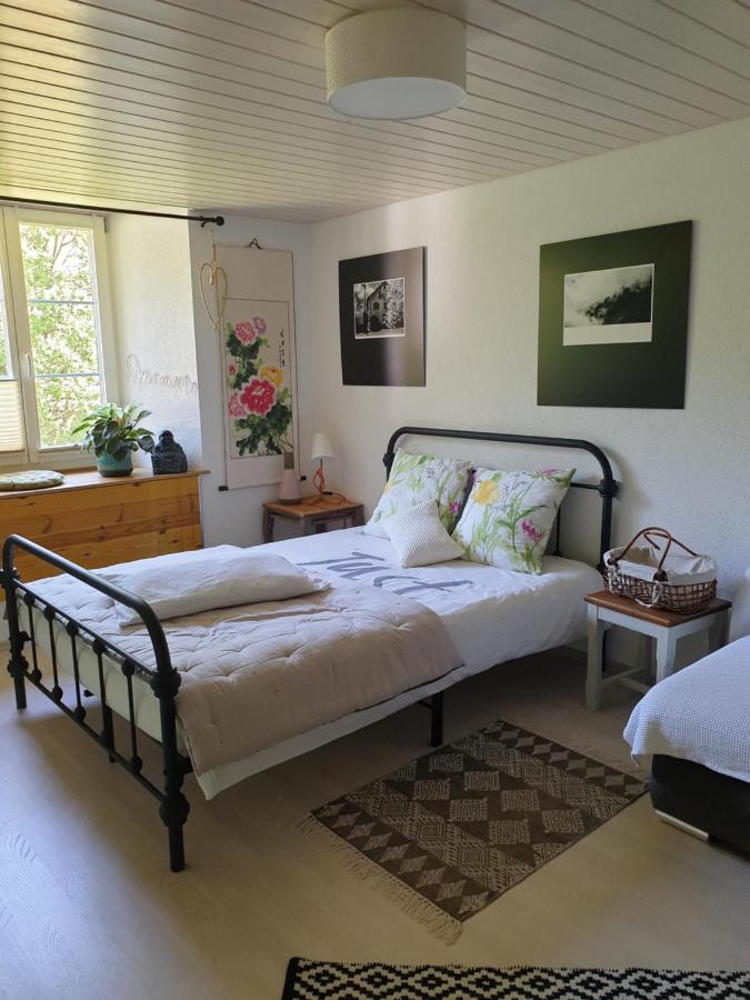 Agreable Chambre D'Hotes, Au Calme, Dans La Nature Roches Εξωτερικό φωτογραφία