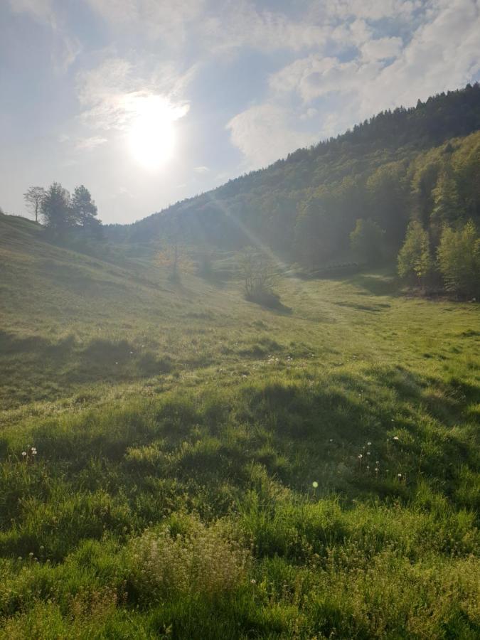 Agreable Chambre D'Hotes, Au Calme, Dans La Nature Roches Εξωτερικό φωτογραφία