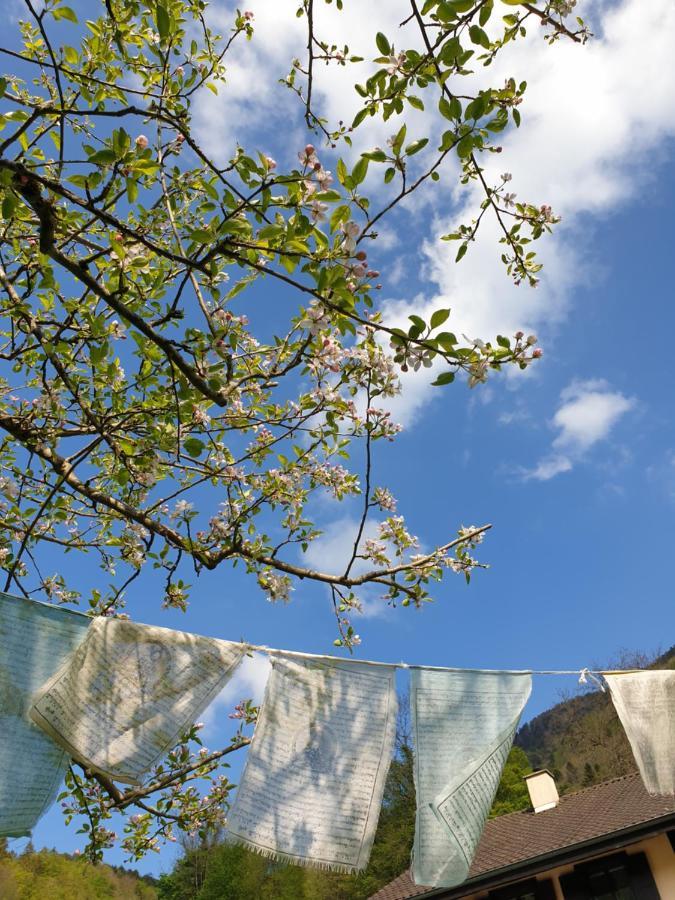 Agreable Chambre D'Hotes, Au Calme, Dans La Nature Roches Εξωτερικό φωτογραφία
