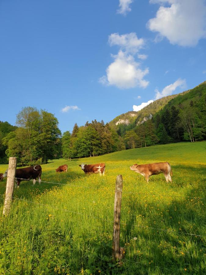 Agreable Chambre D'Hotes, Au Calme, Dans La Nature Roches Εξωτερικό φωτογραφία