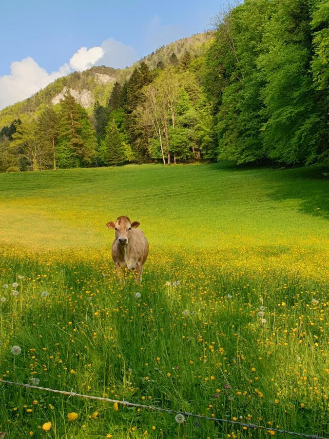 Agreable Chambre D'Hotes, Au Calme, Dans La Nature Roches Εξωτερικό φωτογραφία